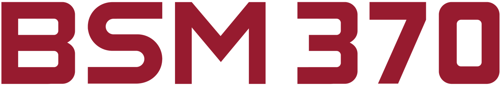 BSM 370